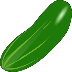 Cucumber