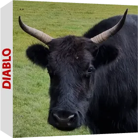 Diablo