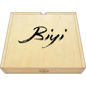 Biyi