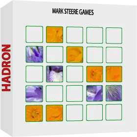 Hadron